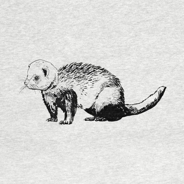 ferret by VicaVeresk